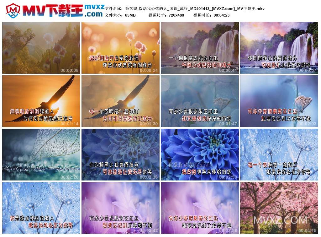 孙艺琪-拨动我心弦的人_国语_流行_MD401413